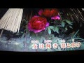 【新曲】凛と立つ ★松川未樹 6/21日発売 (cover) ai haraishi