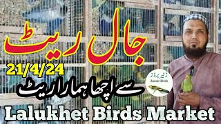 Lalukhet Sunday Birds Market 21/4/24 birds  rate list 2024 lalukhet birds market 2024|zunair birds