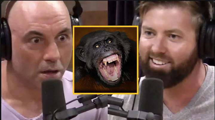 This Is Why Chimpanzee Are TERRIFYING!! | Joe Rogan
