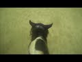 Gopro Filmpje Met Origineel Geluid 