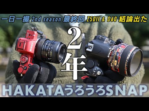 Z50II & D60 ] 毎日写真を撮り続けた2年を振り返る。一日一撮