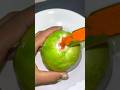 Traditional Fresh Guava Masala рџ Shorts Food Masala Guvava Picklerecipes Spicyfood Traditional Fresh Guava Masala рџ Shorts Food Masala Guvava Picklerecipes Spicyfood