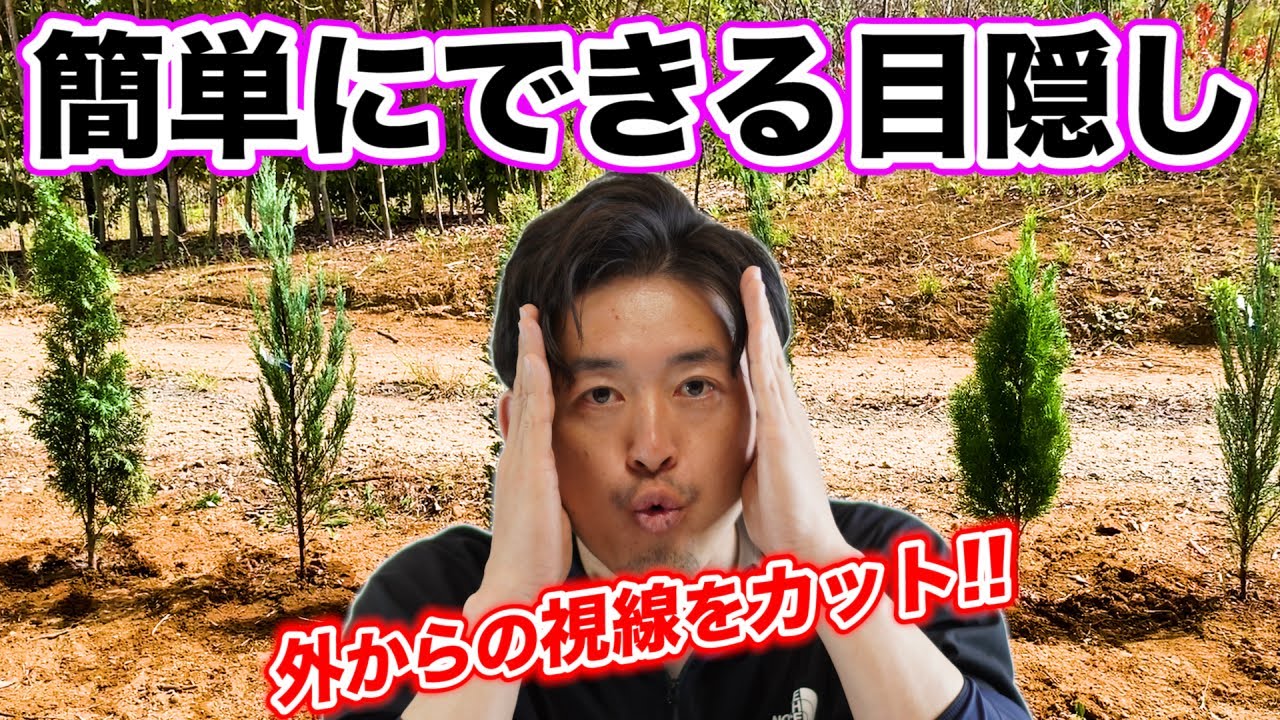 【理想の生垣を求めて①】コニファーで生垣を作る