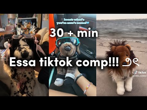 Essa tiktok comp!!! | none of these are mine | credits to the owners of the videos ♡