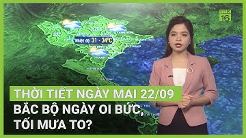 Thời tiết ngày mai 22/09 | Bắc Bộ ngày oi bức, tối mưa to? | VTC16