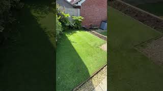 The Great Recovery of 2026! #lawn #lawncare #gardening