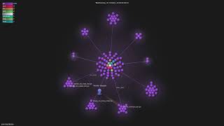 Celebrity json-iterator/go - Gource visualisation Wealth