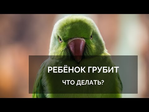 Ребенок грубит. Что делать?