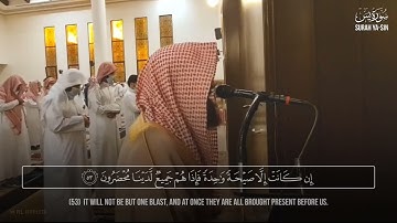 Surah Yasin Yaseen  Muhammad Al Luhaidan  سورة یس  الشیخ محمد اللحیدان