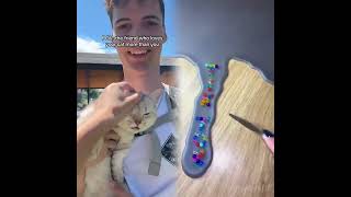 🤣👌👌👌2025 pov Must-Watch Crazy Clips Compilation #humor #fypシ #pov #fyp #foryou 😍😜