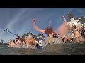 Polar Bear Plunge