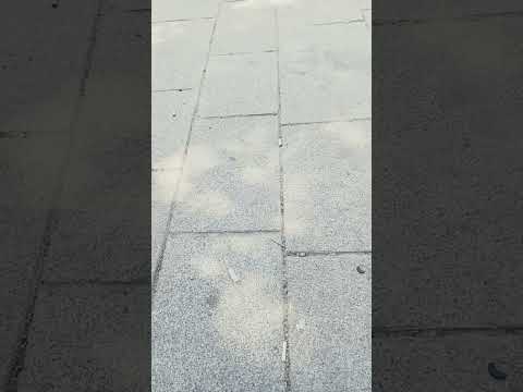 أنشودة دعا الداعي إلي الجهاد 