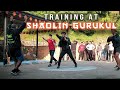 I Trained At The Shaolin Gurukul for 8 Days w/ @Shifu Kanishka Combatives