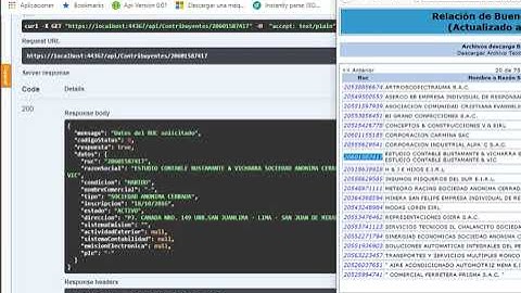 CODIGO FUENTE C#   CONSULTA RUC