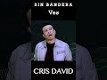 Ves - Sin Bandera - cover Cris David #1 #sinbandera #horts #romantic #tributomusical #cover
