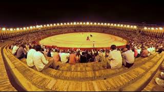 Bull Fighting in Seville Spain