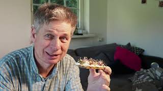 Wie Gesund Sind Sojasprossen Wirklich?