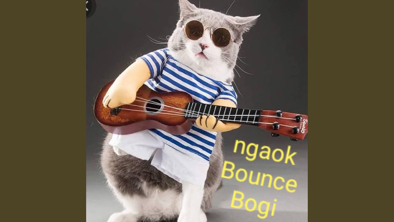 ngaok bounce bogi