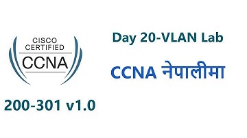 Day 20 | VLAN Lab | Complete CCNA 200 301 in Nepali