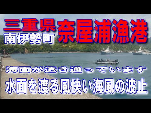 #11三重県奈屋浦漁港ファミリーフィッシングに良し水面を渡る風快い海風の波止良い港ですね南蛮漬けサイズの豆アジがポツポツと釣れます海面が透き通っていますローソン 南伊勢南島店手前を右に曲がる