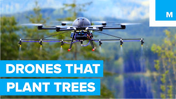 How Drones are Helping to Plant Trees - A Cleaner Future