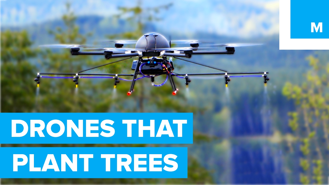 ⁣How Drones are Helping to Plant Trees - A Cleaner Future