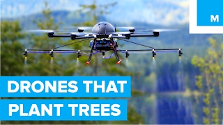 Tree-planting drones to speed up reforestation efforts