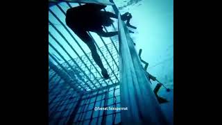 Mr Faisu & Shivangi New Stunt Kkk12 Khatron Ke Khiladi