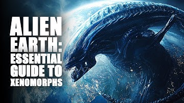 The Only Xenomorph Explainer You Need Before Alien: Earth