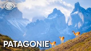 Patagonia: Journey from the Andes to Tierra del Fuego - South America | Travel Documentary - AMP screenshot 4
