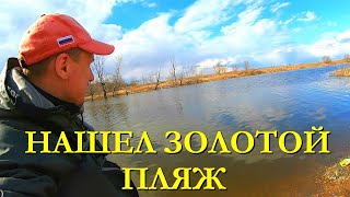 НОВЫЙ ПЛЯЖ ДАЛ ОТЛИЧНЫЕ НАХОДКИ. СЕЗОН НАЧАЛСЯ С ЗОЛОТА.