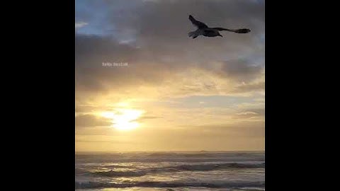 Oh Oh Thendrale - Endrendrum Kadhal