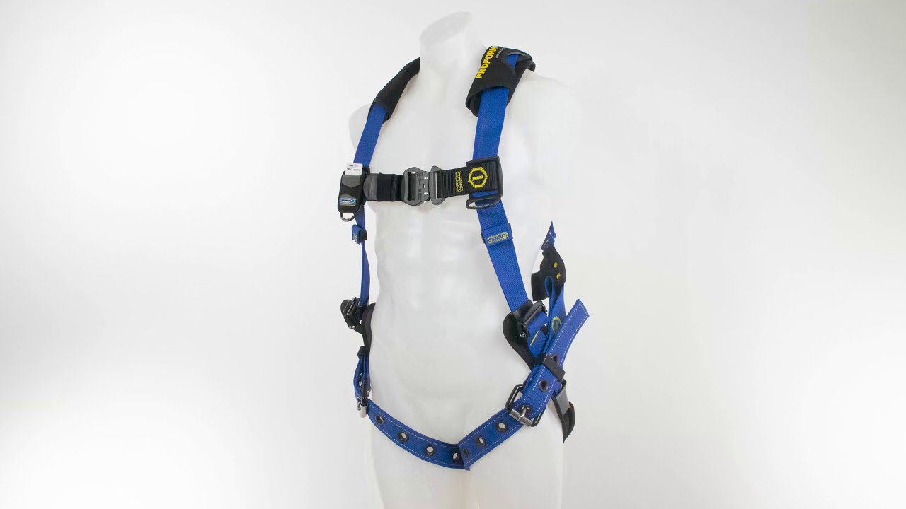 H012002XS | Harnesses | Werner