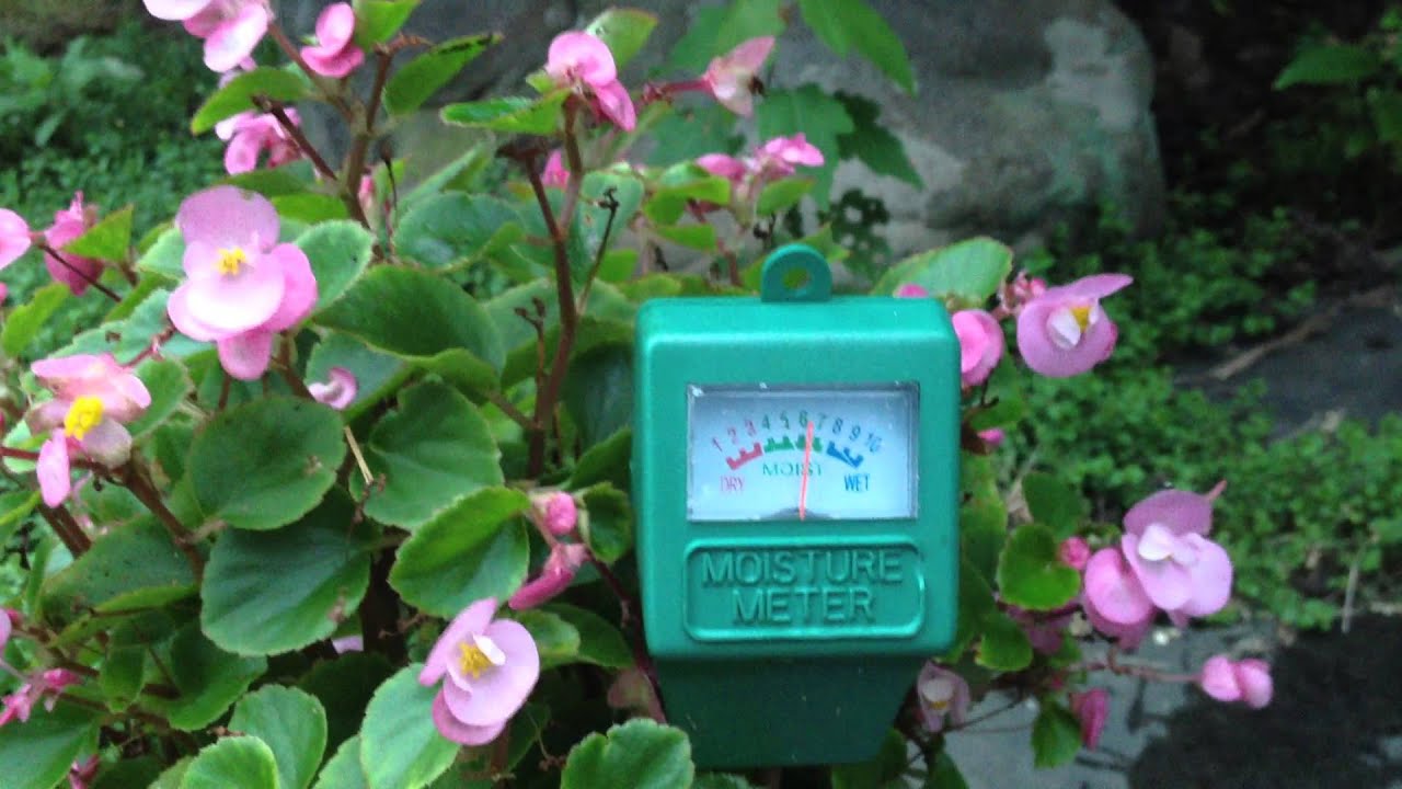 garden moisture meter analog soil moisture meter youtube garden moisture meter analog soil moisture meter youtube