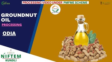ଗ୍ରାଉଣ୍ଡନଟ୍ ପ୍ରକ୍ରିୟା  I GROUNDNUT PROCESSING (ODIA) I NIFTEM PMFME SCHEME