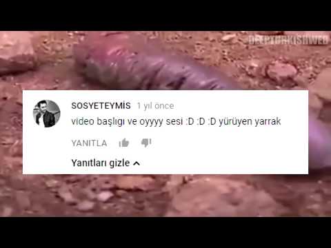 Doğada hayata tutunmaya çalışan malafat Deep Turkish Web