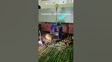 LOG BRAVO - Loading logs under coaming #bulkcarrier #cargohandling #shipping