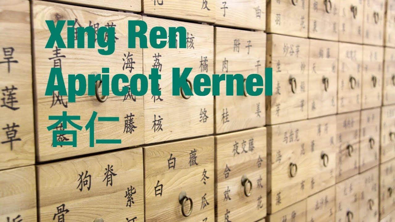 14 Chinese Herbal Medicine, Traditional Chinese Medicine Xing Ren