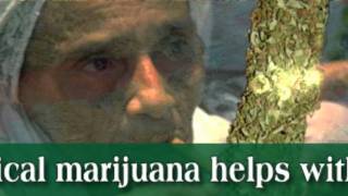 A Typical Stoner - Grandma @NIMBINTELEVISION