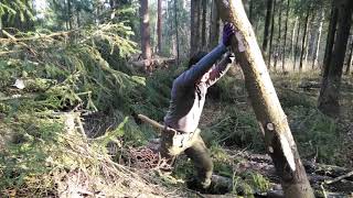 bushcraft. shelter. the walls are getting higher.