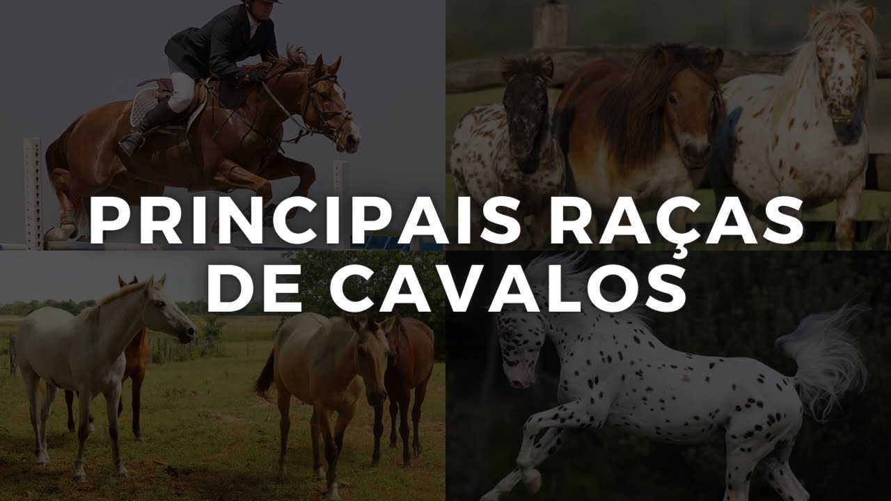 Pelagens de Equinos - Cavalo Campeiro