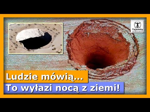 Ludzie mówią...to wyłazi nocą z ziemi!