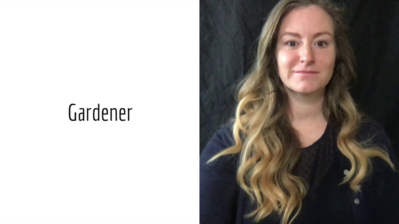 Jobs ASL Vocabulary Words YouTube