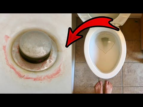 How to Get Rid of Pink Slime Around the Drain 💥 Pink Mold No More! (Genius Cleaning Motivation)