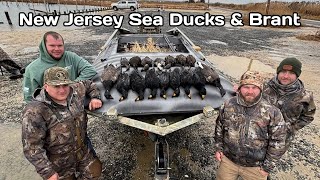 SEA DUCK and BRANT Hunt in New Jersey - LIMIT!