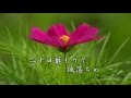 花の白虎隊/橋幸夫/yamato.nabe