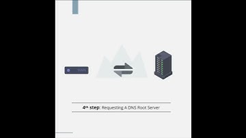 How Does DNS Work? The Process of a DNS Lookup