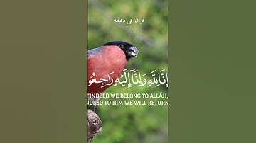 قران كريم ارح قلبك وسمعك #quran #قران #راحة_نفسية #اكسبلور #دويتو #ترند #تيك_توك #حالات_واتس #اكسبلو