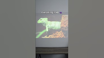 Next-Level Nostalgia 👾💥| Link in BIO!