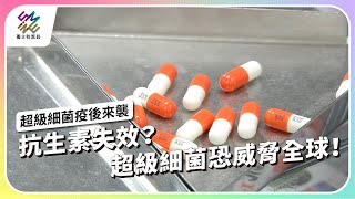 抗生素失效？超級細菌恐威脅全球！｜超級細菌疫後來襲｜公視 #獨立特派員 第848集 20240417